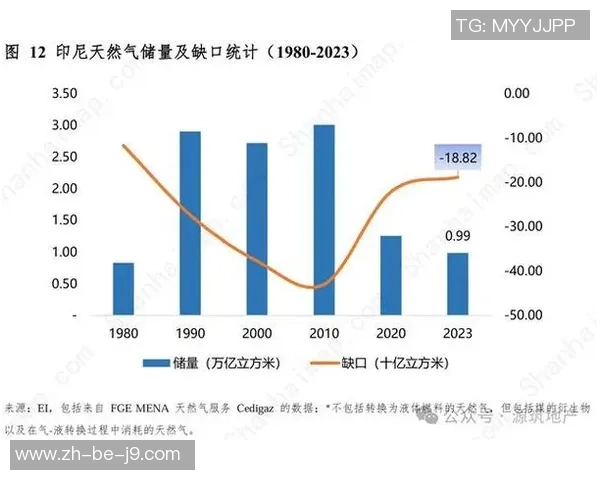 2001年中国与印度尼西亚经济发展比较及其影响分析 2001年中国与印度尼西亚经济发展比较及其影响分析